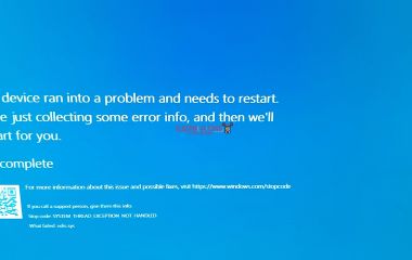 Rutoken S не определяется в Windows 11: причины и решение проблемы